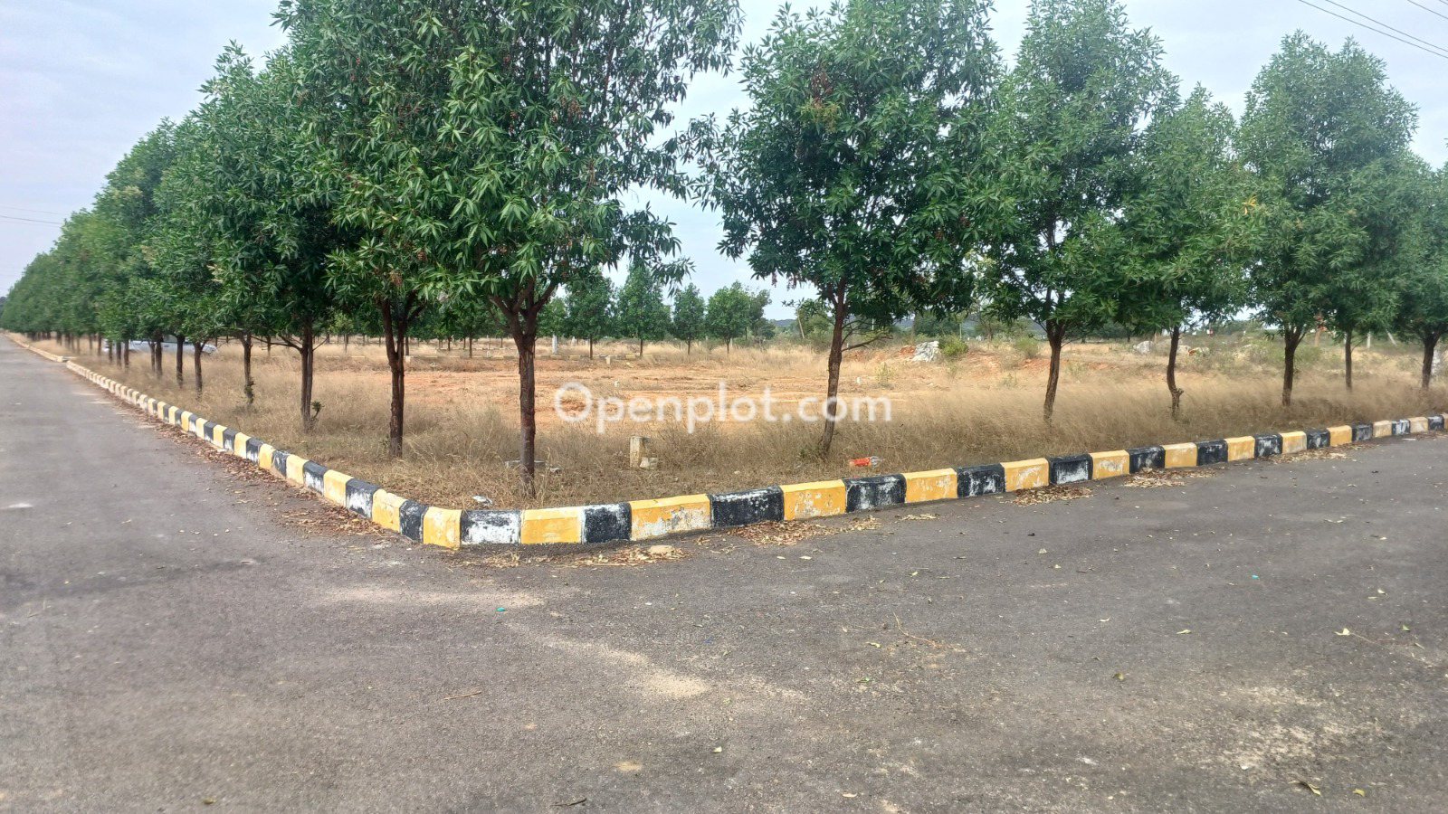 Plot for Sale in Yacharam,Ranga Reddy